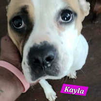 Thumbnail photo of Kayla #3