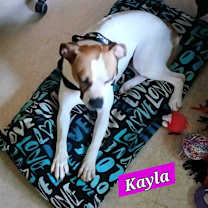 Thumbnail photo of Kayla #4