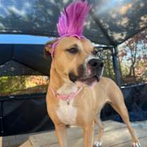 Thumbnail photo of Aubrey #2