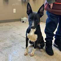 Thumbnail photo of Coconut #2