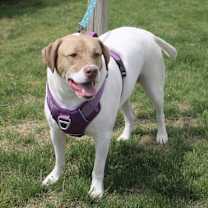 Thumbnail photo of Finnigan #2