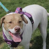 Thumbnail photo of Finnigan #3