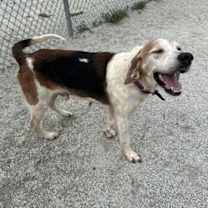 Thumbnail photo of GUS #3