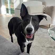 Thumbnail photo of Bunny #1