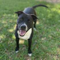 Thumbnail photo of River #1