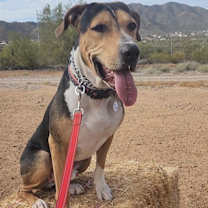 Thumbnail photo of Warren #1