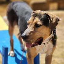 Thumbnail photo of Warren #2
