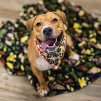 Thumbnail photo of Rosalee (Sponsored) #2