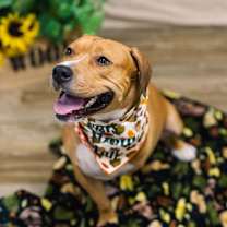 Thumbnail photo of Rosalee (Sponsored) #3