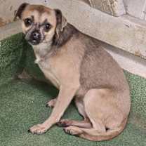 Thumbnail photo of Zia #4