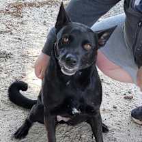 Thumbnail photo of Alena #1