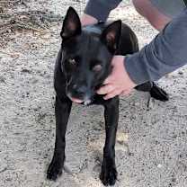 Thumbnail photo of Alena #2