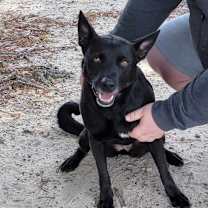 Thumbnail photo of Alena #3