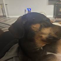 Thumbnail photo of Fiona (Fi Fi) #4