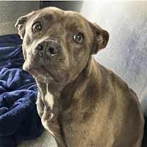 Thumbnail photo of Drew #2