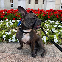 Thumbnail photo of Peggy #1