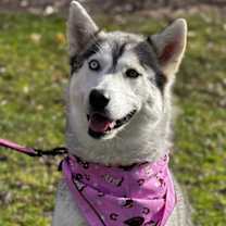 Thumbnail photo of Misty #1