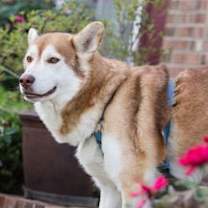 Thumbnail photo of TEDDY #4