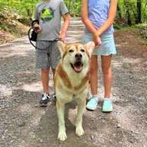 Thumbnail photo of TEDDY #1