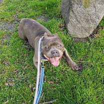 Thumbnail photo of Mugsy #4