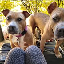 Thumbnail photo of Bonnie & Clyde #2