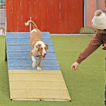 Thumbnail photo of Brian #4