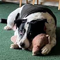 Thumbnail photo of Trip #2