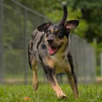 Thumbnail photo of Hinkle (Mercy) #3
