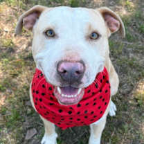 Thumbnail photo of MADELINE #1