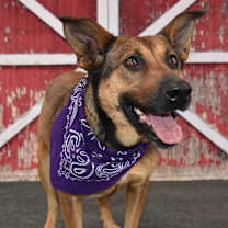 Thumbnail photo of Minnie #2