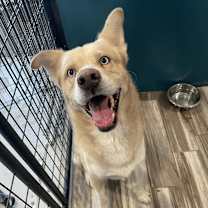 Thumbnail photo of Kaneki #4