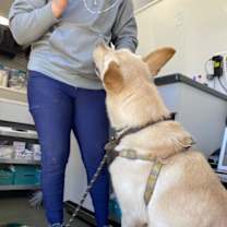 Thumbnail photo of Sidney - Super Star #4