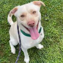 Thumbnail photo of Rylo #1