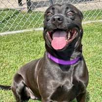 Thumbnail photo of Nalani #4