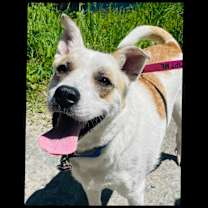 Thumbnail photo of Peggy Sue #1