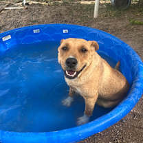 Thumbnail photo of Daisy #4