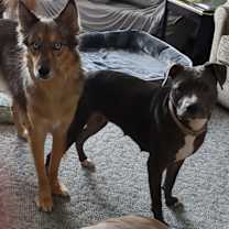 Thumbnail photo of Luna #3