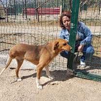 Thumbnail photo of NOVA (Turkey) kt - Tripaw #2
