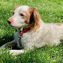 Thumbnail photo of Daisy Lou #1