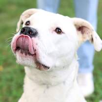 Thumbnail photo of Jirby #1