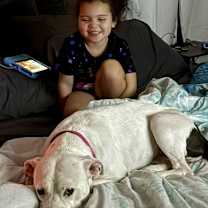 Thumbnail photo of Clarabelle #3