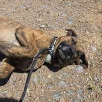 Thumbnail photo of Harry #2