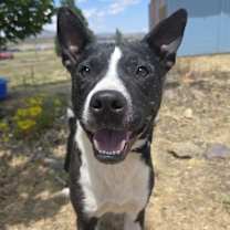 Thumbnail photo of Parker #1