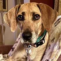 Thumbnail photo of Lexie #2