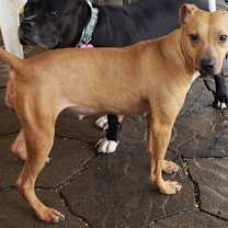 Thumbnail photo of Leah #3