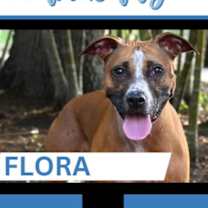 Thumbnail photo of Flora 💎 #3