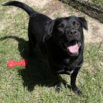 Thumbnail photo of Logan #1