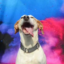 Thumbnail photo of Danny #1
