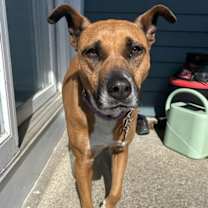 Thumbnail photo of Zaria #4