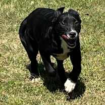 Thumbnail photo of Bravo #3